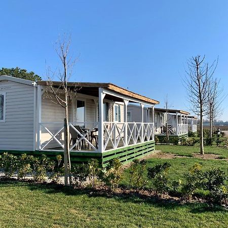 Fossone d'Adige Agriturismo Nonno Mario מראה חיצוני תמונה
